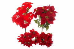 194 Novogodišnje cveće